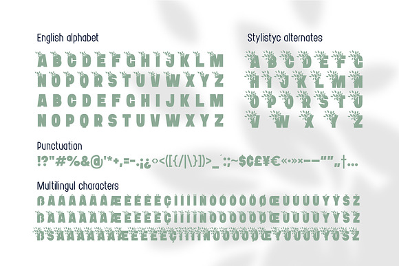 Bushman font set in Sans-Serif Fonts - product preview 5