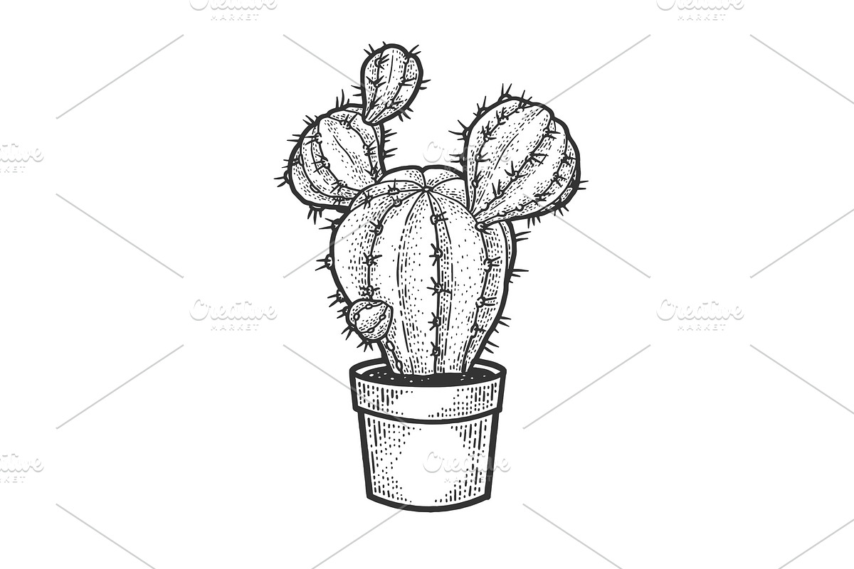 cactus plant in pot sketch vector in Illustrations - product preview 8