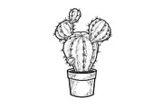 cactus plant in pot sketch vector