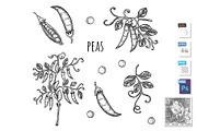 Peas plant and beans farm set