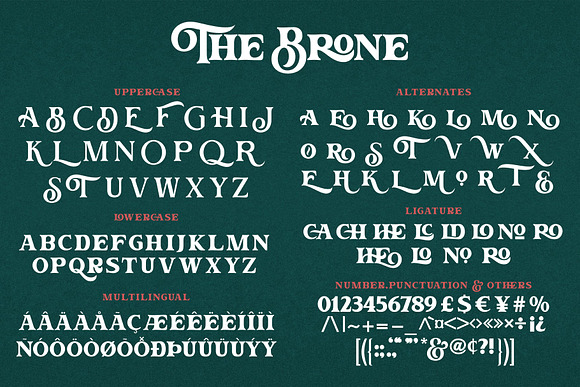 The Brone in Serif Fonts - product preview 9