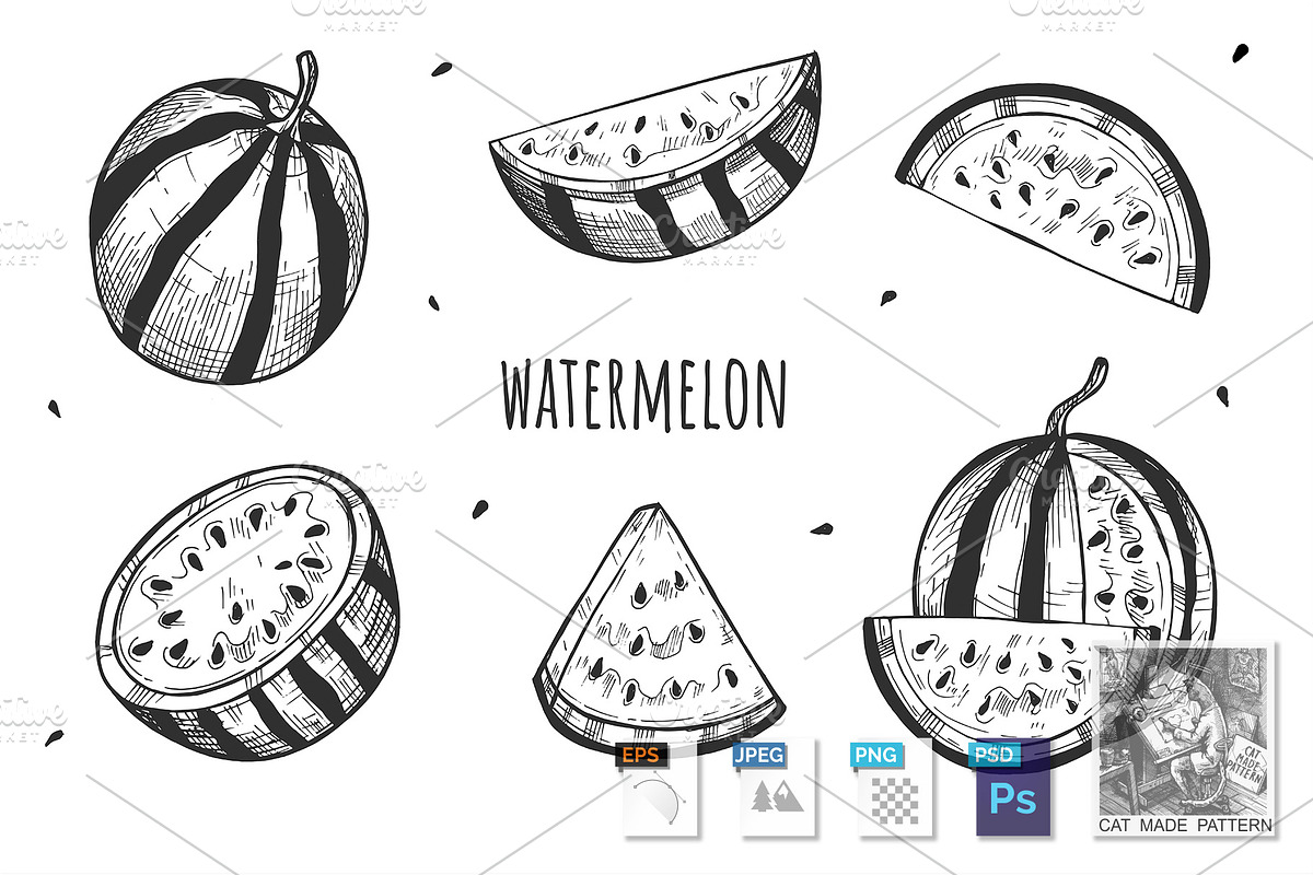 Fresh whole sliced watermelon set in Illustrations - product preview 8