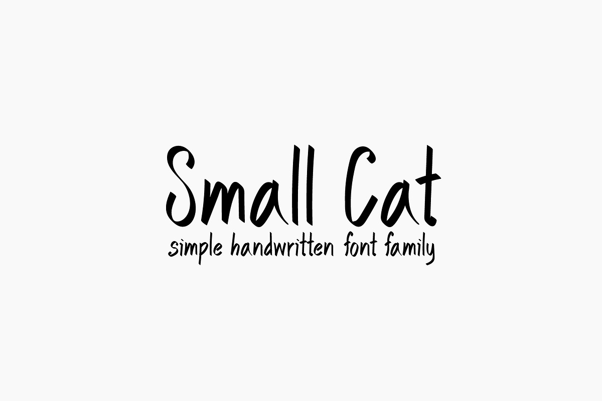 Small Cat in Script Fonts - product preview 8