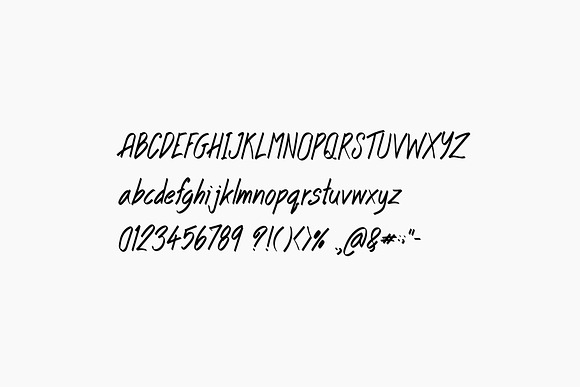 Small Cat in Script Fonts - product preview 5