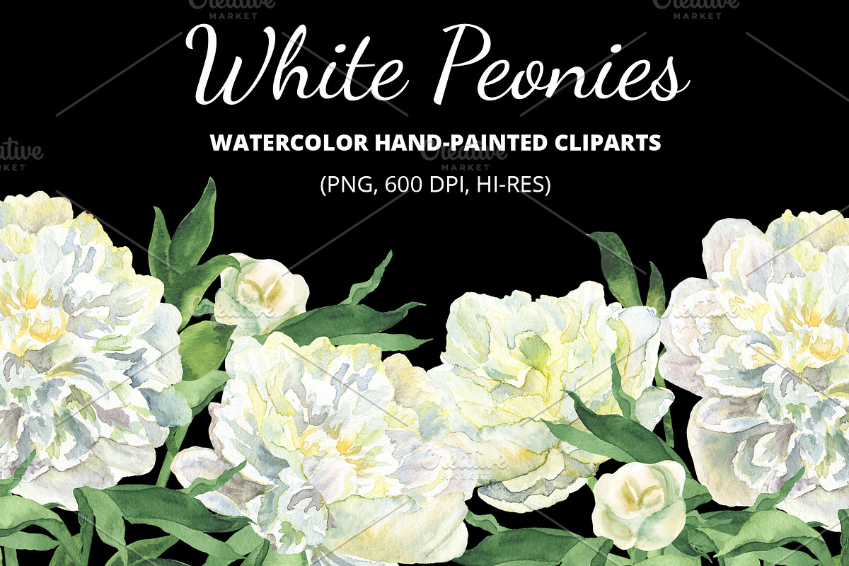 White Watecolor Peonies (PNG) in Illustrations - product preview 8