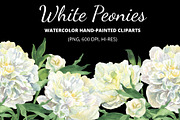 White Watecolor Peonies (PNG)