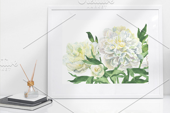 White Watecolor Peonies (PNG) in Illustrations - product preview 5