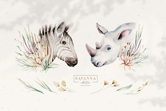 Stay Wild. Savanna collection in Illustrations - product preview 1