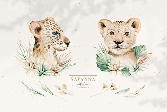 Stay Wild. Savanna collection in Illustrations - product preview 2