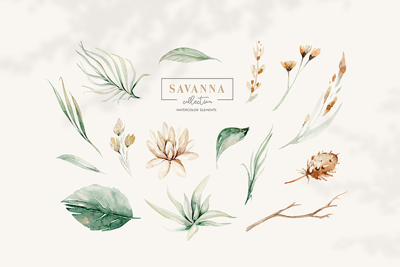 Stay Wild. Savanna collection in Illustrations - product preview 5