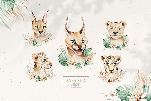 Stay Wild. Savanna collection in Illustrations - product preview 8