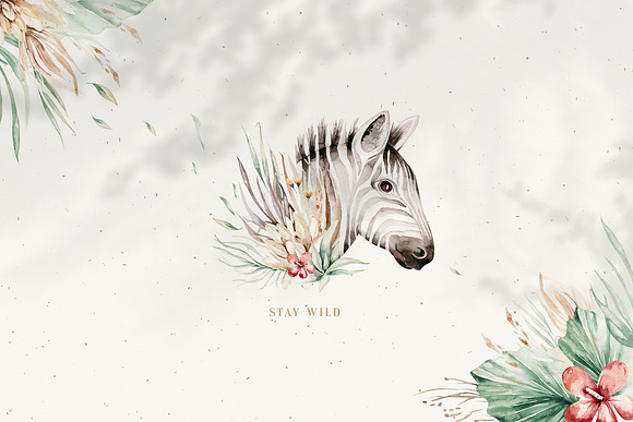 Stay Wild. Savanna collection in Illustrations - product preview 13
