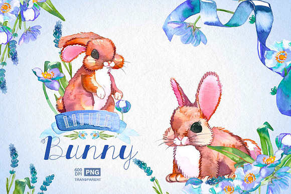 Little bunny, boy babyshower in Illustrations - product preview 1