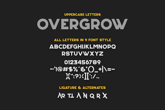 Overgrow Typeface in Display Fonts - product preview 13