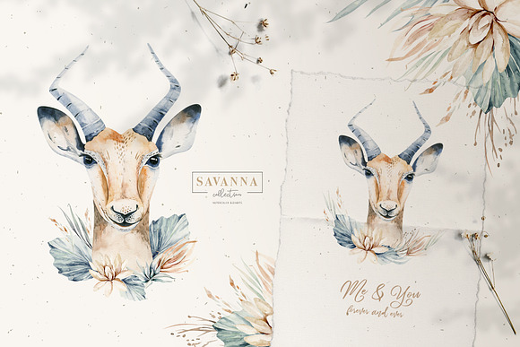 Stay Wild. Savanna collection in Illustrations - product preview 14