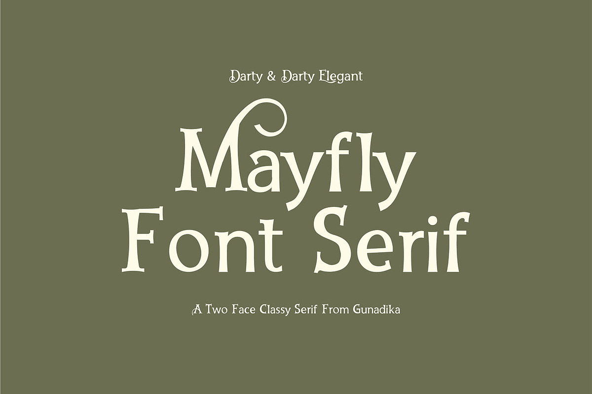 Font Serif Darty in Serif Fonts - product preview 8