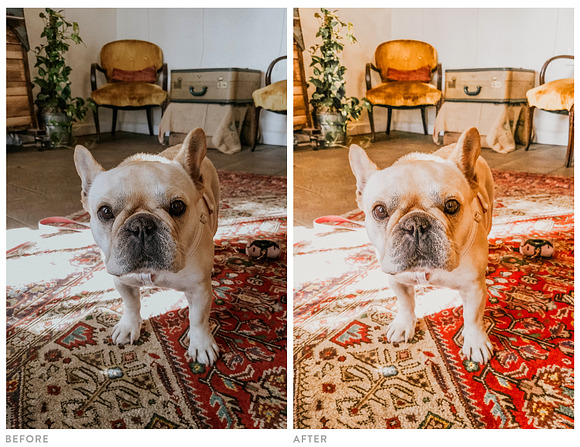 Light and Airy Warm Lightroom Preset in Add-Ons - product preview 6