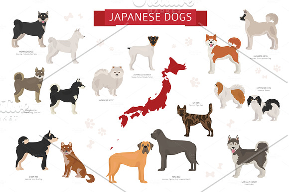 Japanese dog breeds in Illustrations - product preview 1