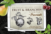 Procreate Fruit & Branch Stampset