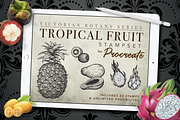 Procreate Tropical Fruit Stampset