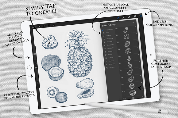 Procreate Tropical Fruit Stampset in Add-Ons - product preview 2