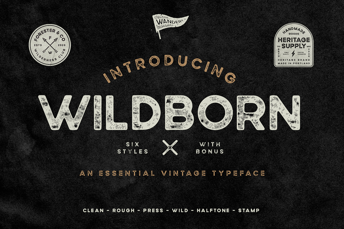 Wildborn Vintage Sans Typeface in Display Fonts - product preview 8