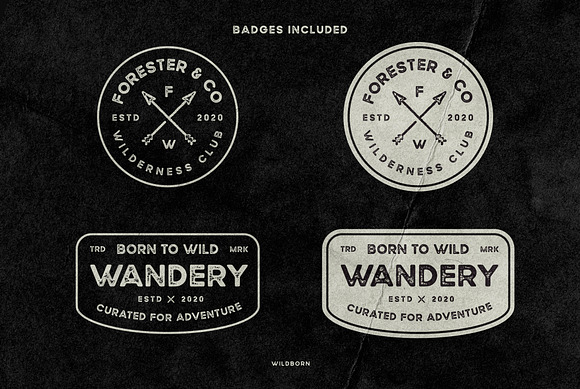 Wildborn Vintage Sans Typeface in Display Fonts - product preview 3