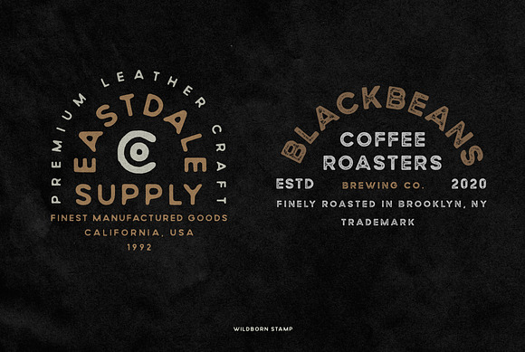 Wildborn Vintage Sans Typeface in Display Fonts - product preview 9