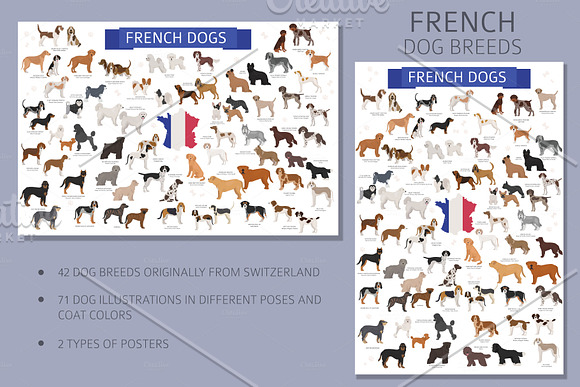 French dog breeds in Illustrations - product preview 1