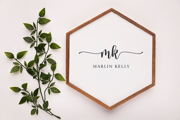 hello honey - a chic script font in Script Fonts - product preview 2