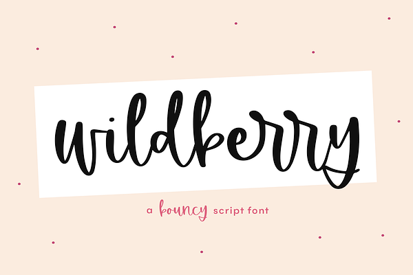 Wildberry | Handwritten Script Font