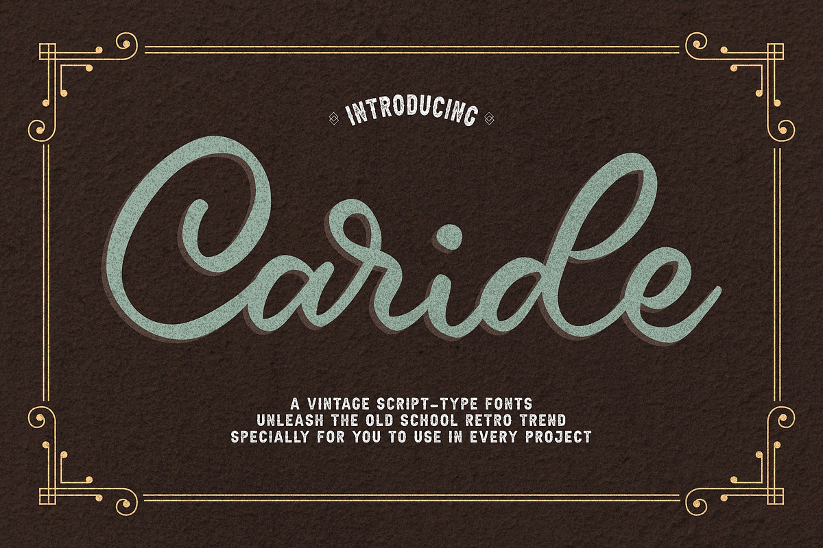 Caride Script in Script Fonts - product preview 8
