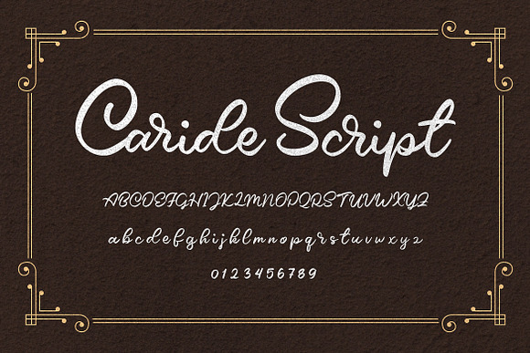Caride Script in Script Fonts - product preview 1
