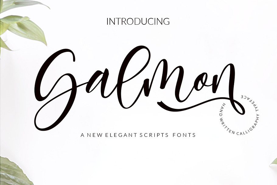 Salmon in Script Fonts - product preview 8