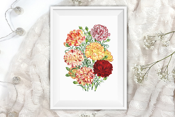 Bouquet Carnation Clipart Flowers in Illustrations - product preview 4