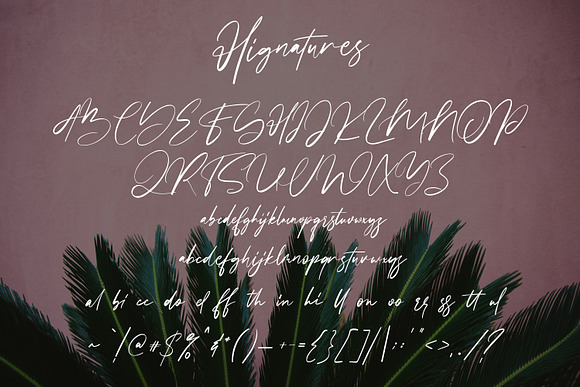 Hignatures Signature Brush Font in Script Fonts - product preview 3