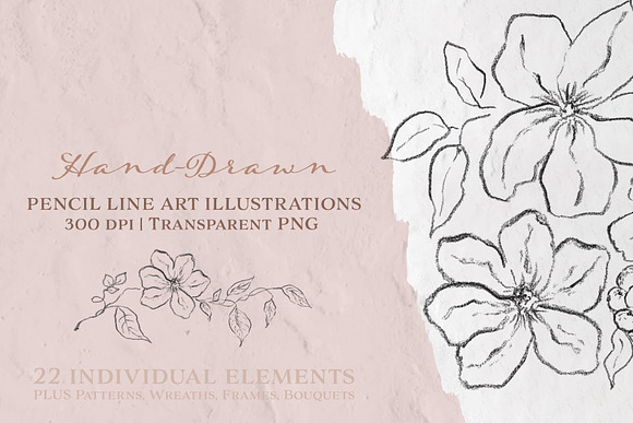 Pencil Line Art Floral Illustrations in Illustrations - product preview 2