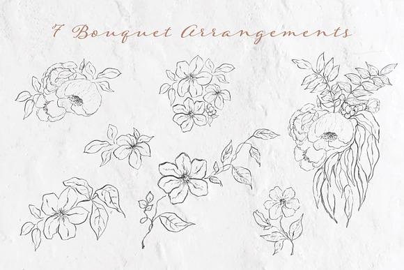 Pencil Line Art Floral Illustrations in Illustrations - product preview 6