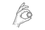 nut in hand sketch vector