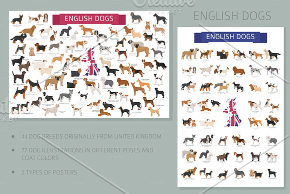 English dog breeds in Illustrations - product preview 1