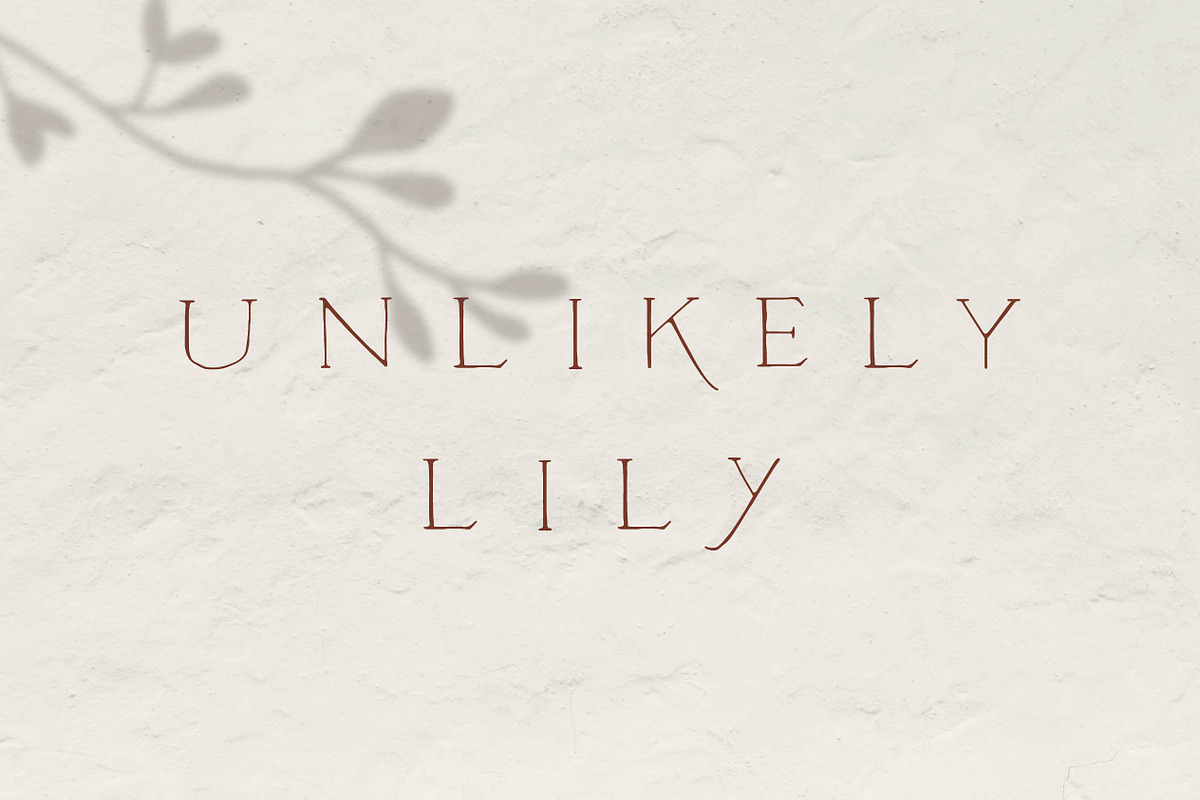 Unlikely Lily - A Hand-Drawn Serif in Serif Fonts - product preview 8