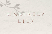 Unlikely Lily - A Hand-Drawn Serif