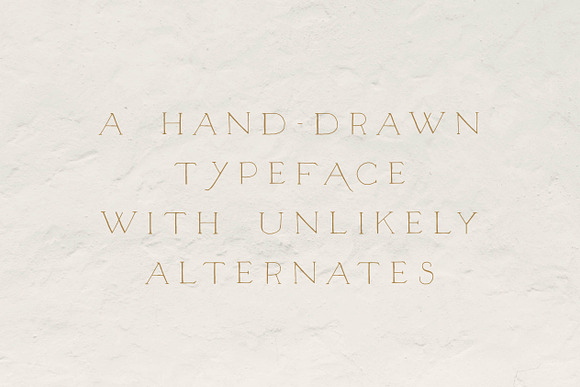 Unlikely Lily - A Hand-Drawn Serif in Serif Fonts - product preview 1