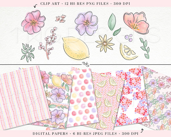 Citrus Flowers Clip Art & Papers in Illustrations - product preview 1