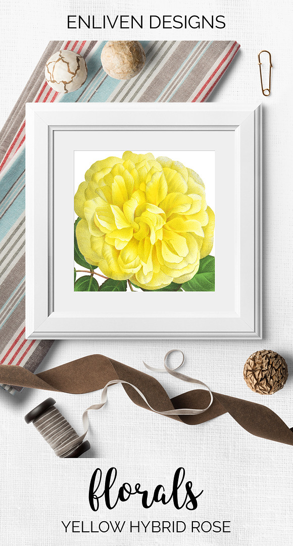 Rose Yellow Flowers in Illustrations - product preview 8