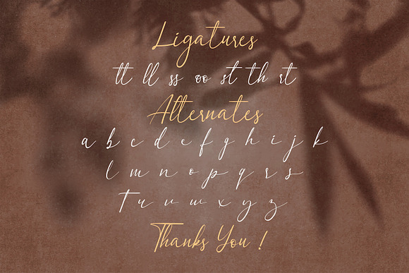 Dulan Anzelica - Signature Font in Script Fonts - product preview 13