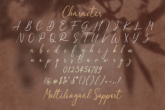 Dulan Anzelica - Signature Font in Script Fonts - product preview 14