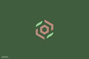 Hexagon Finance Security Logo