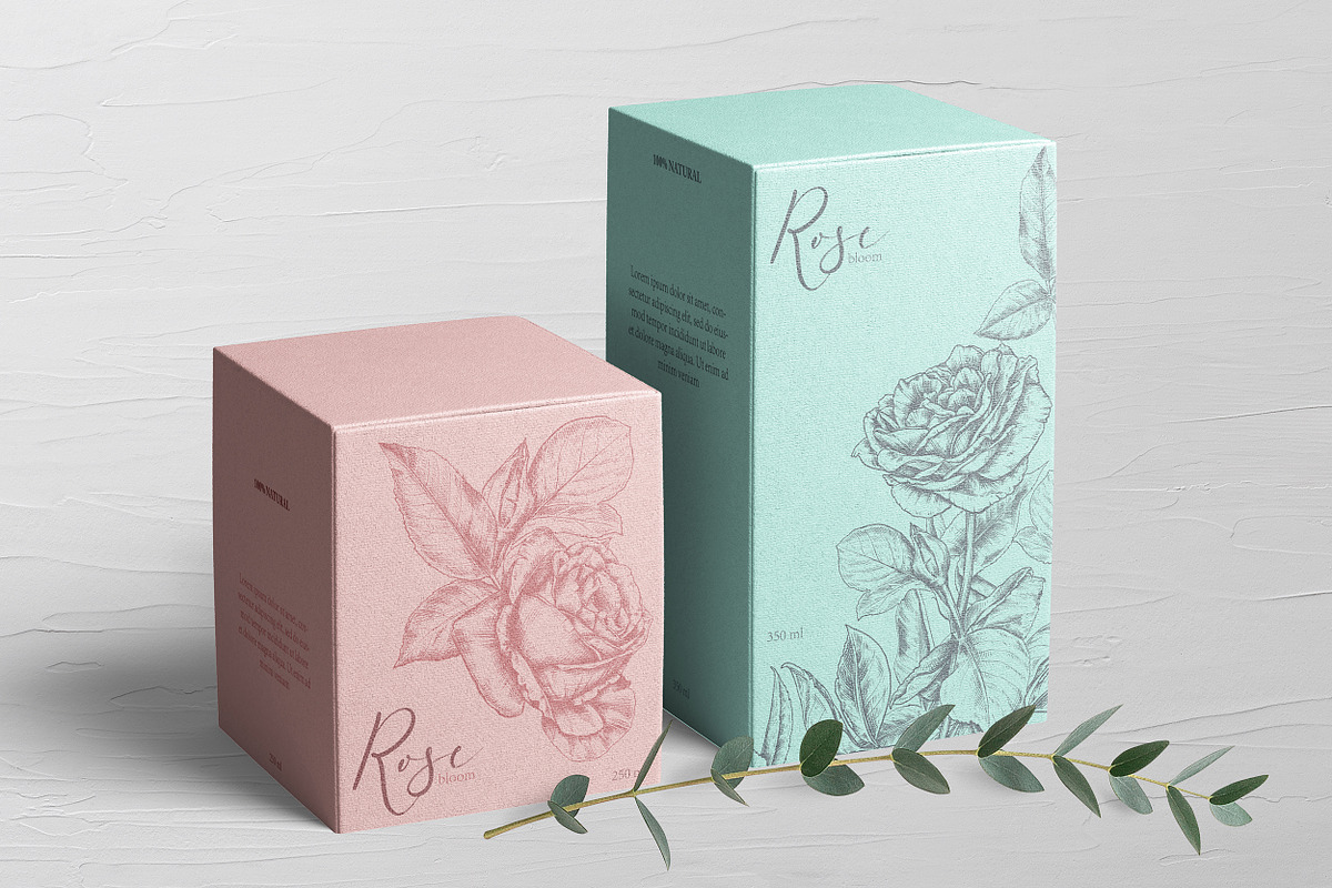 Vector Rose flowers in Illustrations - product preview 8
