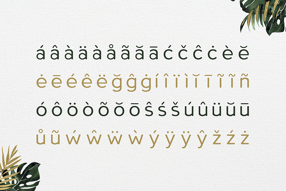 Roundor Font Family - Sans Serif in Sans-Serif Fonts - product preview 4